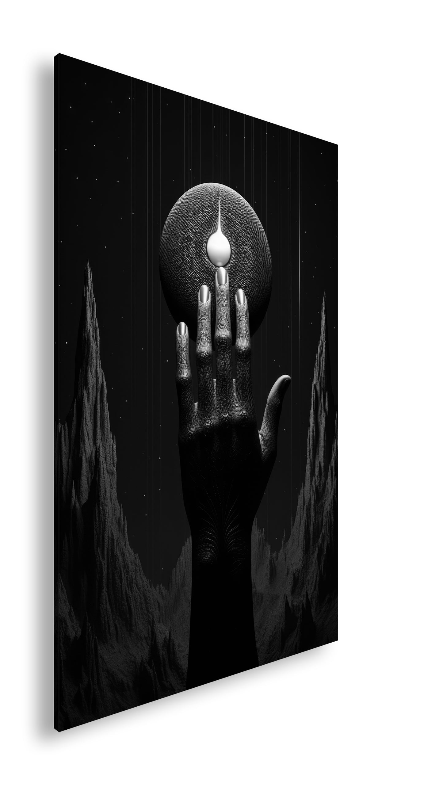 Hauptbild Schwarz & Weiß Standart