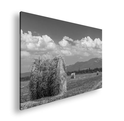 Hauptbild Schwarz & Weiß Standart