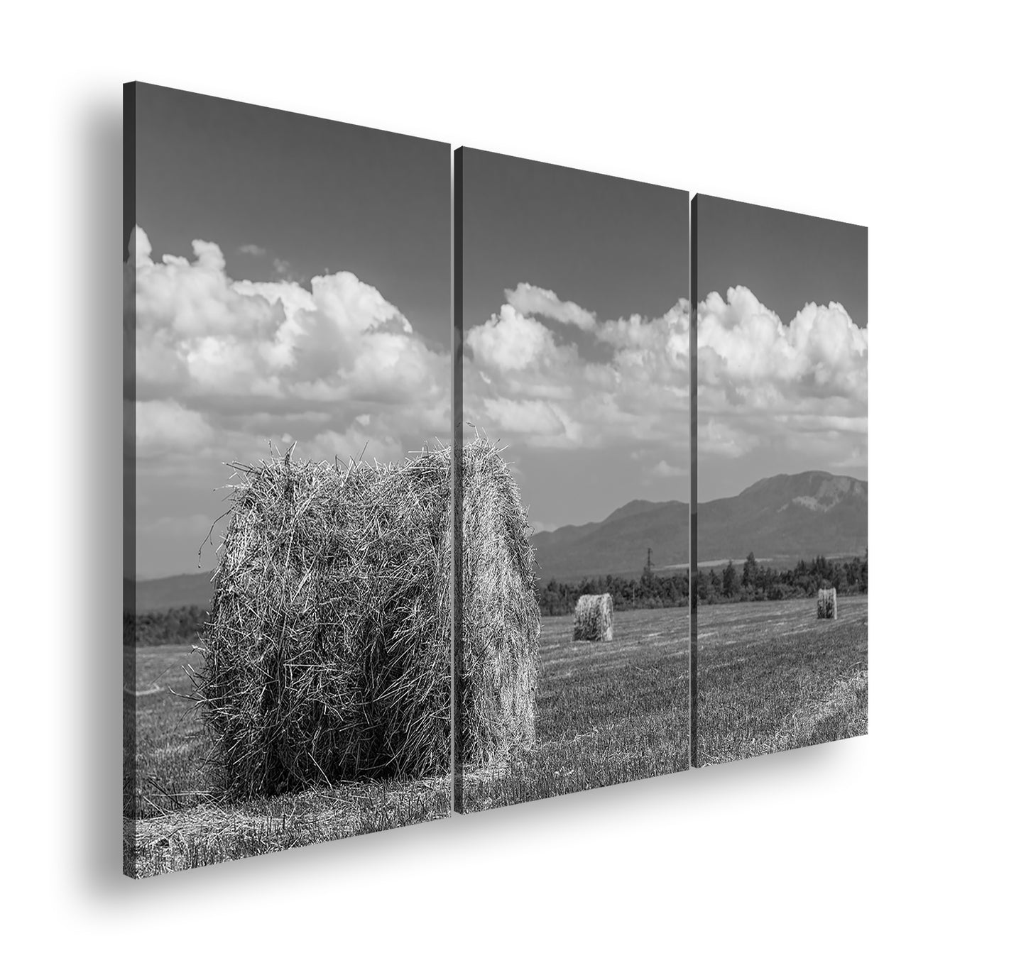 Hauptbild Schwarz & Weiß 3 Teilig