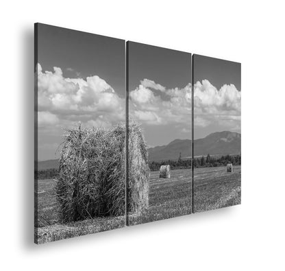 Hauptbild Schwarz & Weiß 3 Teilig