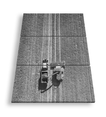 Hauptbild Schwarz & Weiß 3 Teilig