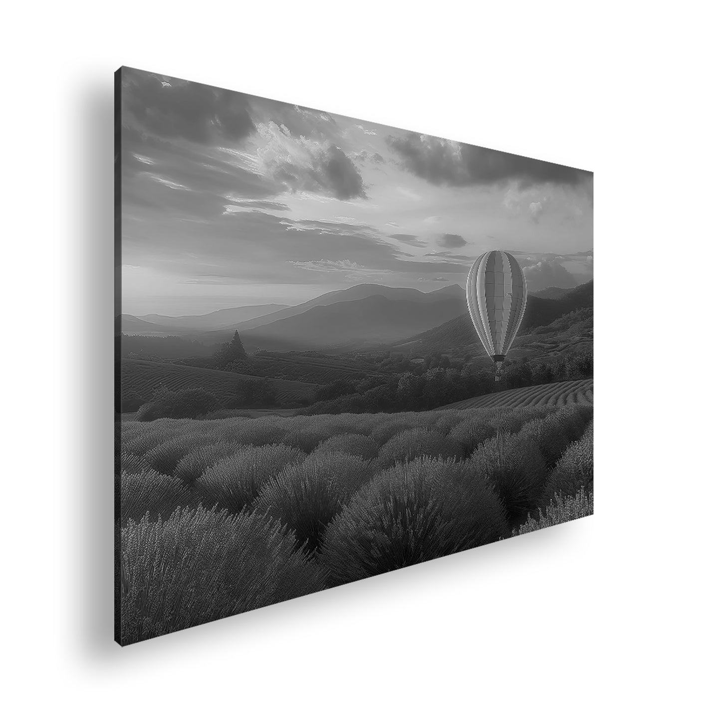 Hauptbild Schwarz & Weiß Standart