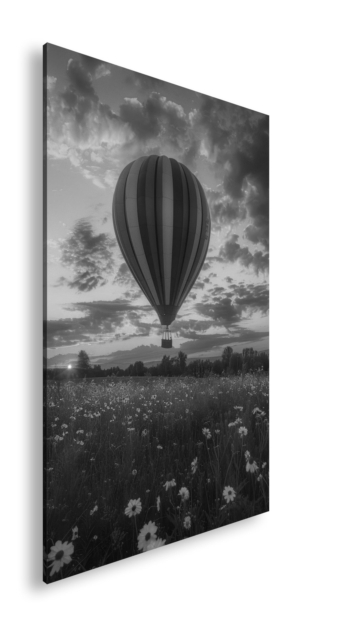 Hauptbild Schwarz & Weiß Standart