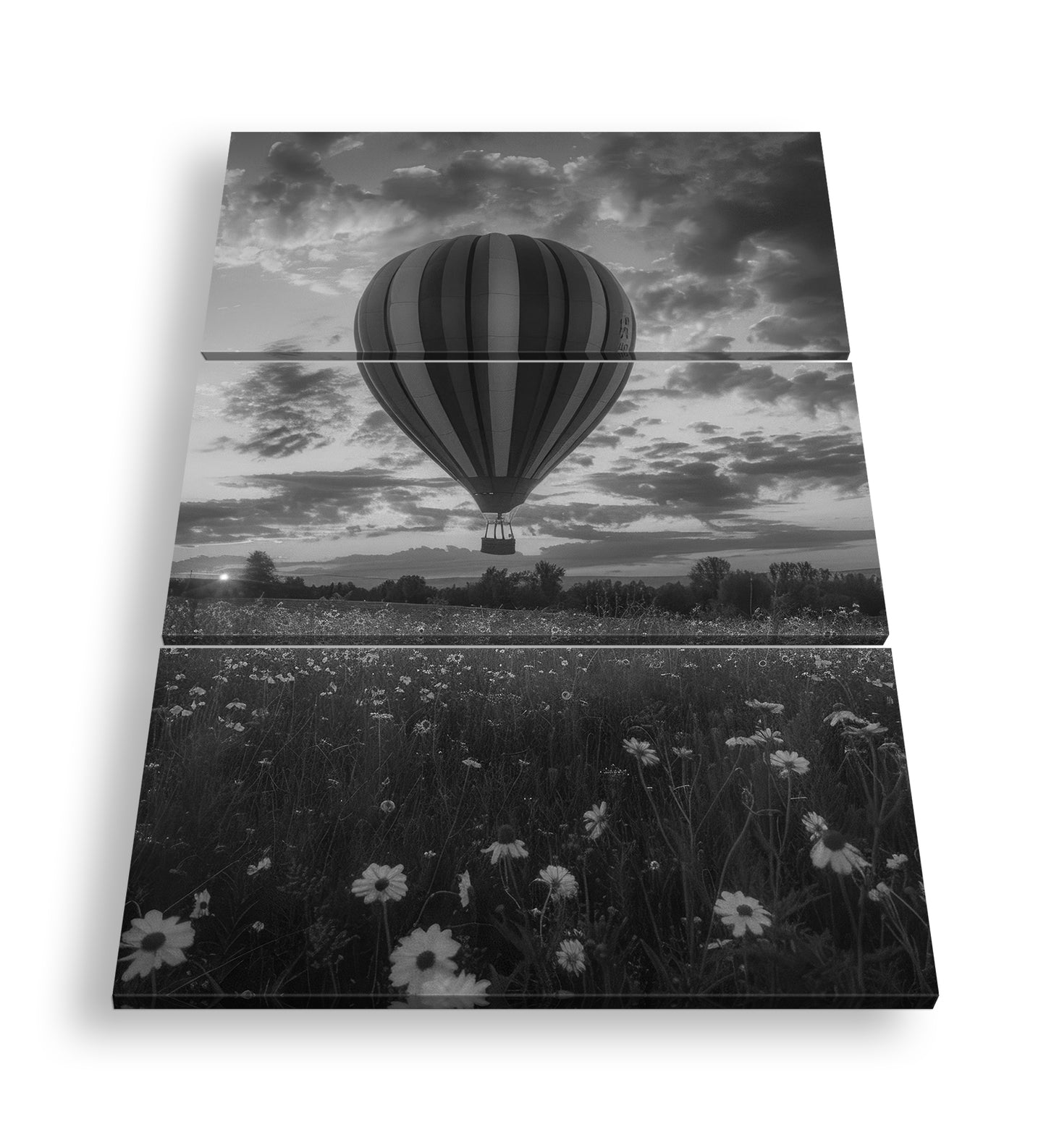 Hauptbild Schwarz & Weiß 3 Teilig