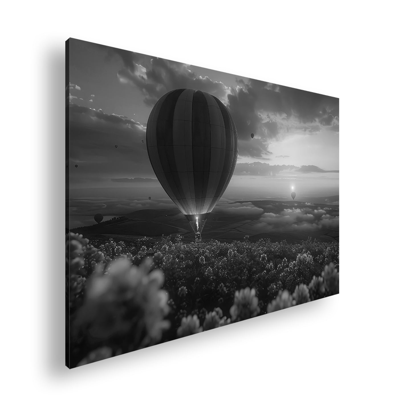 Hauptbild Schwarz & Weiß Standart