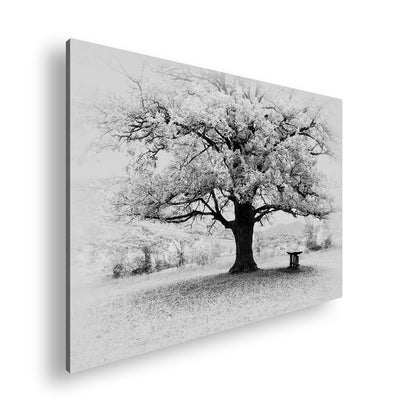 Hauptbild Schwarz & Weiß Standart