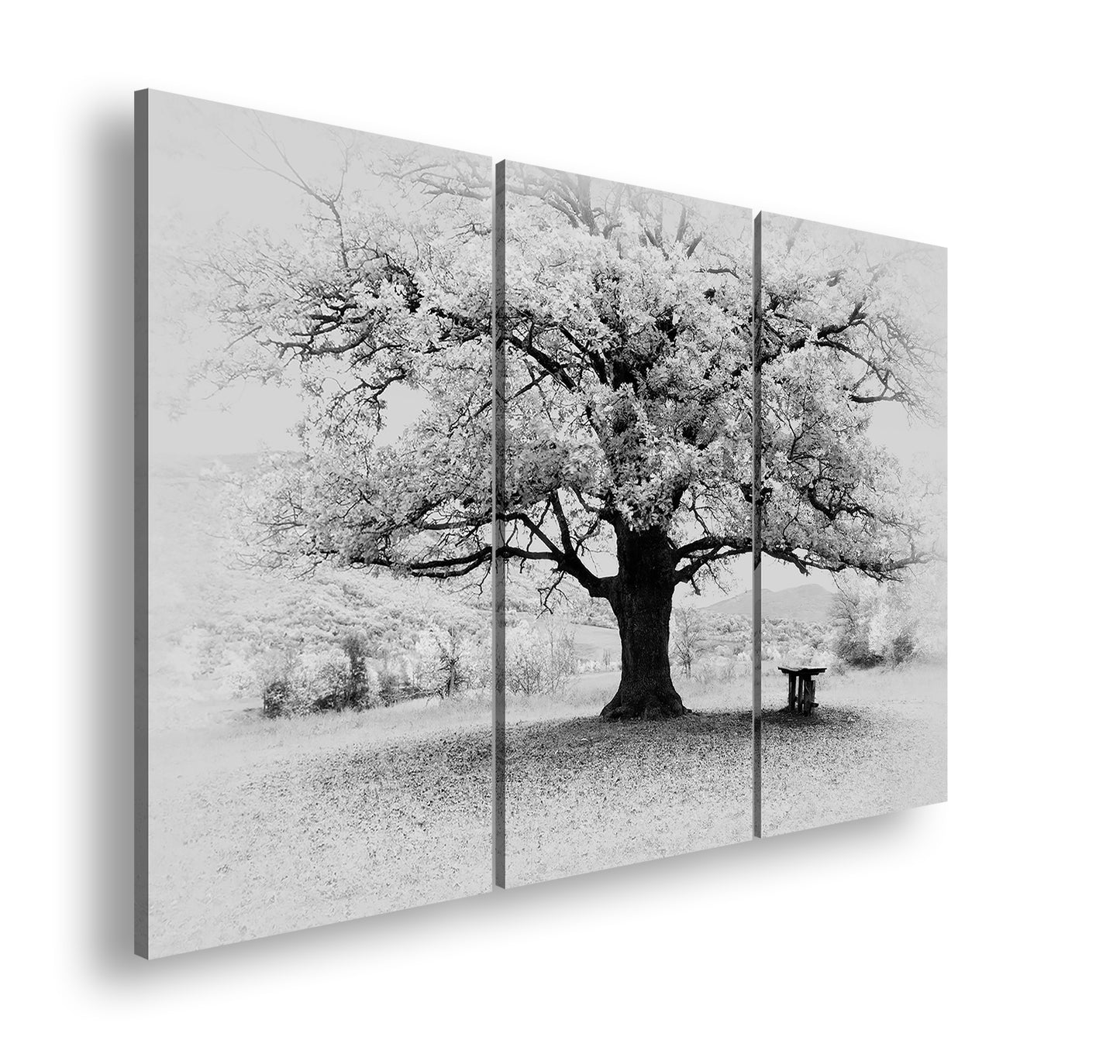 Hauptbild Schwarz & Weiß 3 Teilig