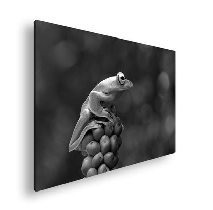 Hauptbild Schwarz & Weiß Standart