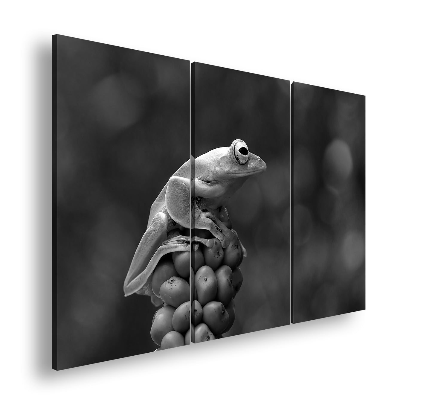 Hauptbild Schwarz & Weiß 3 Teilig