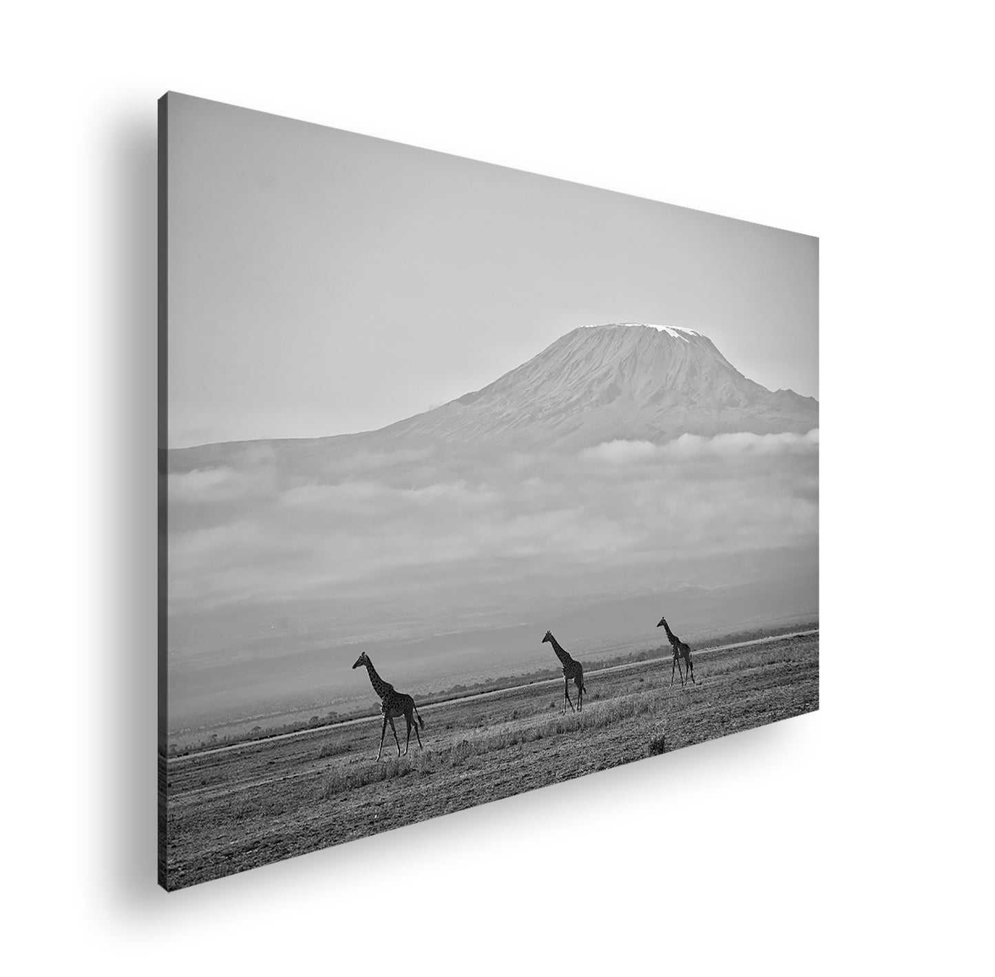 Hauptbild Schwarz & Weiß Standart