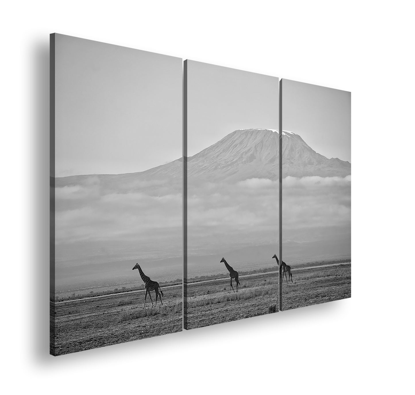 Hauptbild Schwarz & Weiß 3 Teilig