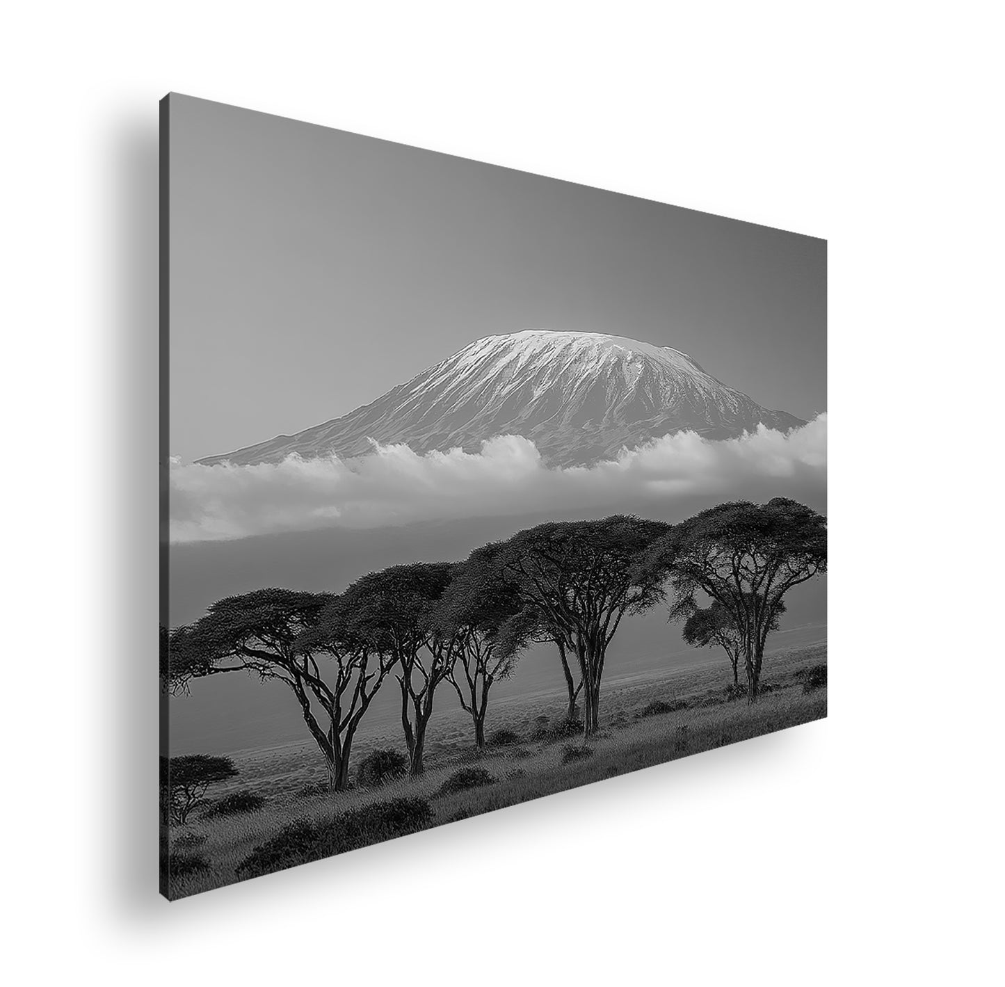 Hauptbild Schwarz & Weiß Standart