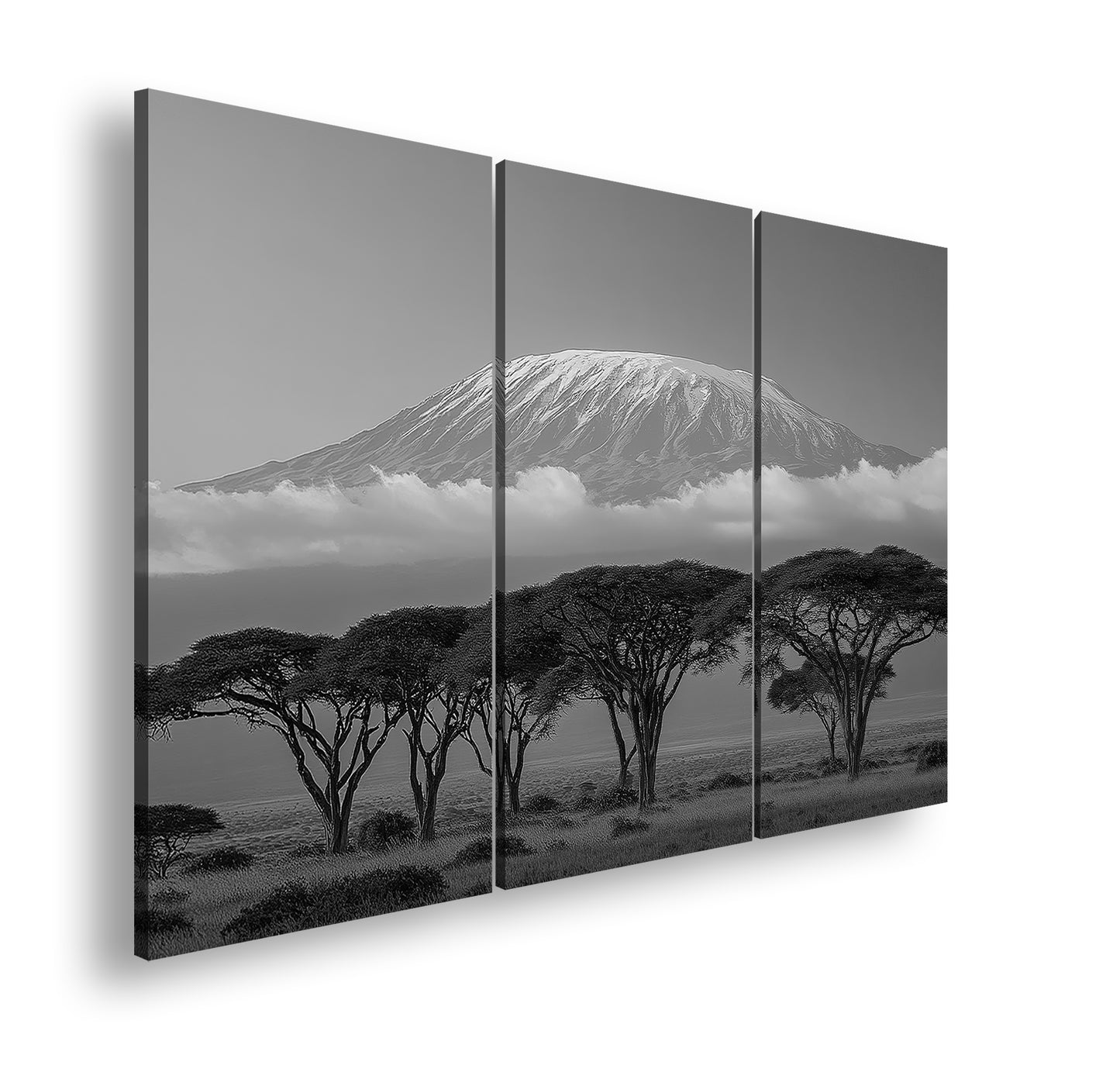 Hauptbild Schwarz & Weiß 3 Teilig