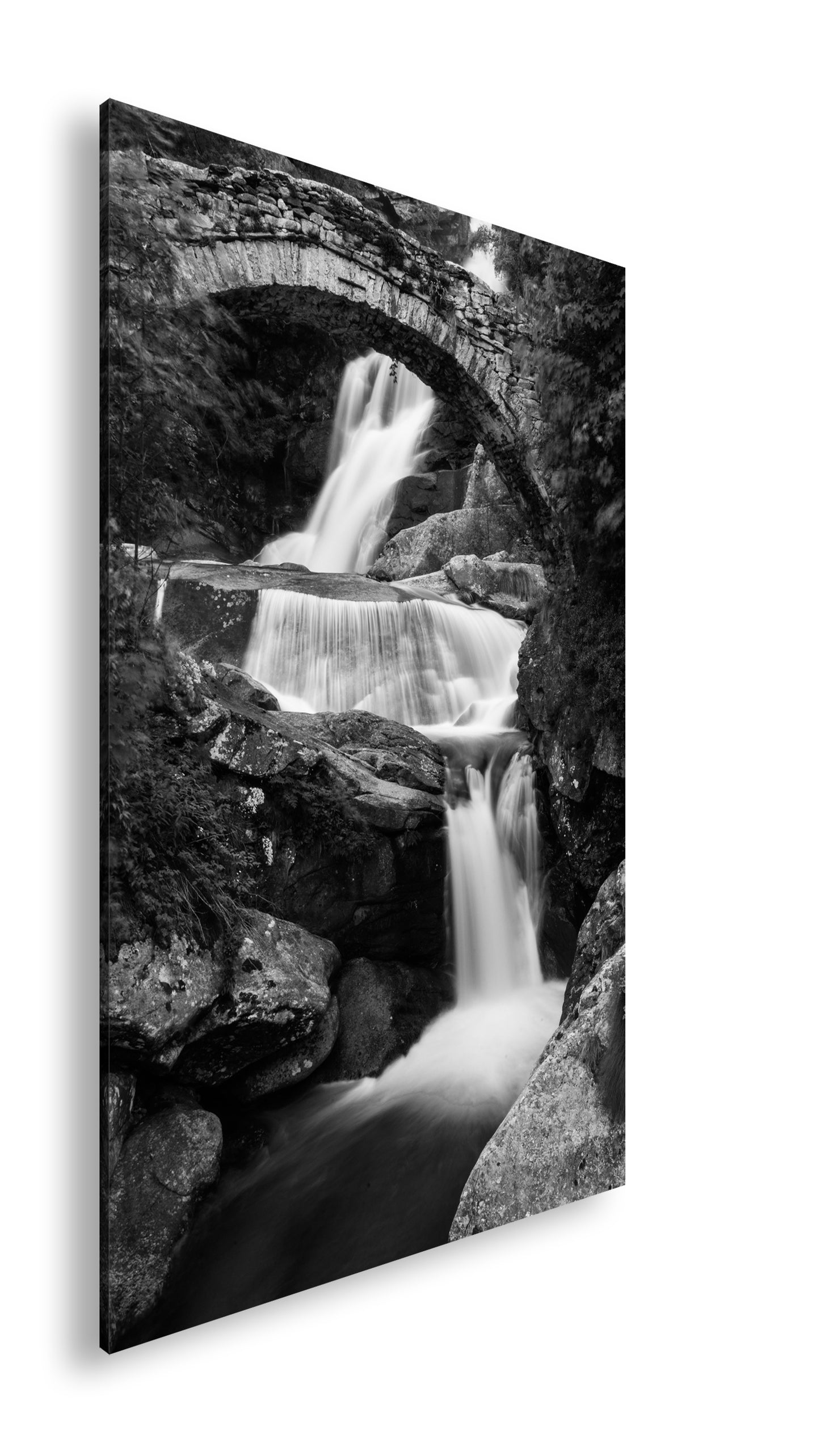 Hauptbild Schwarz & Weiß Standart