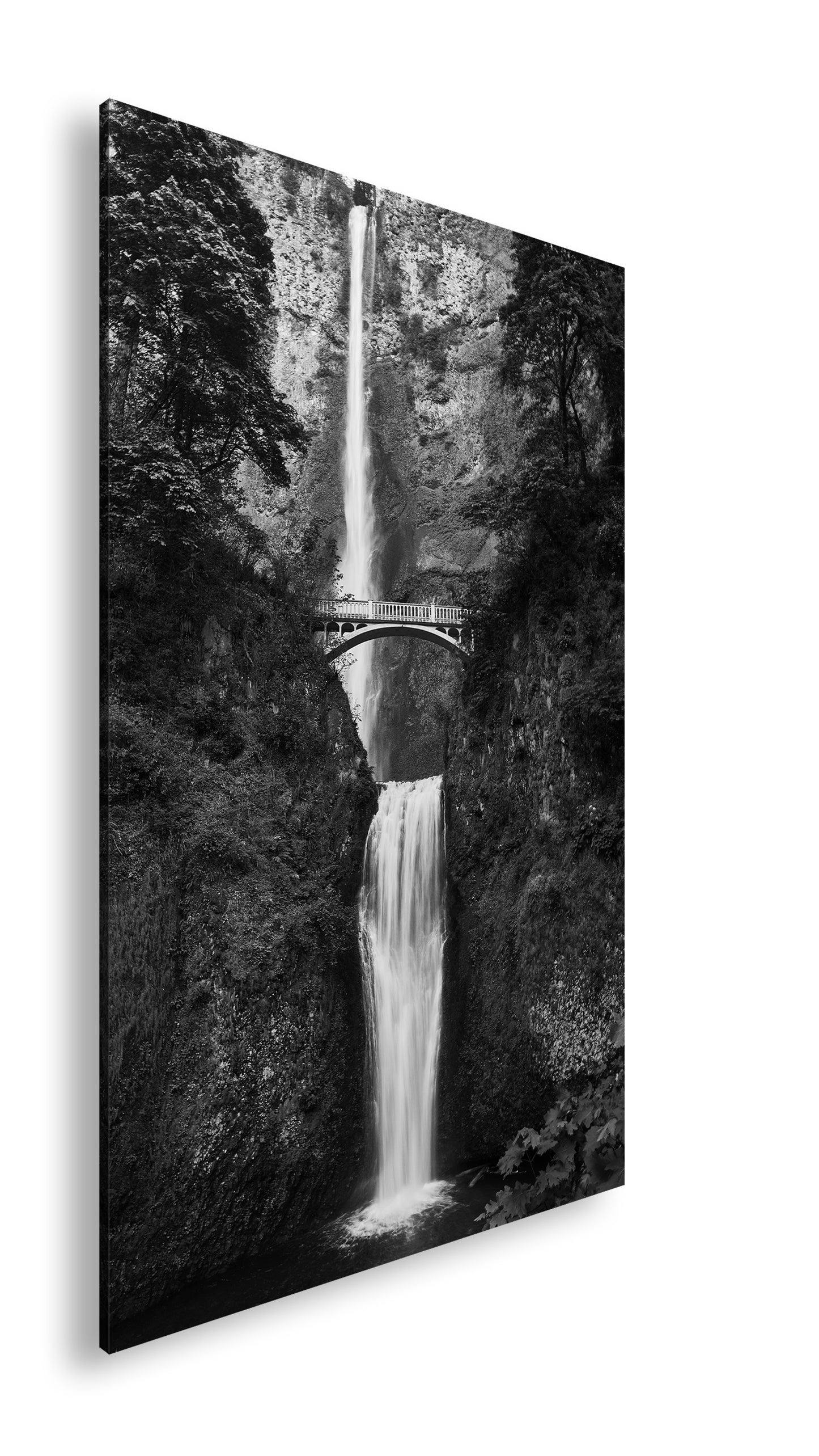 Hauptbild Schwarz & Weiß Standart