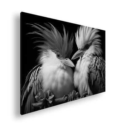 Hauptbild Schwarz & Weiß Standart