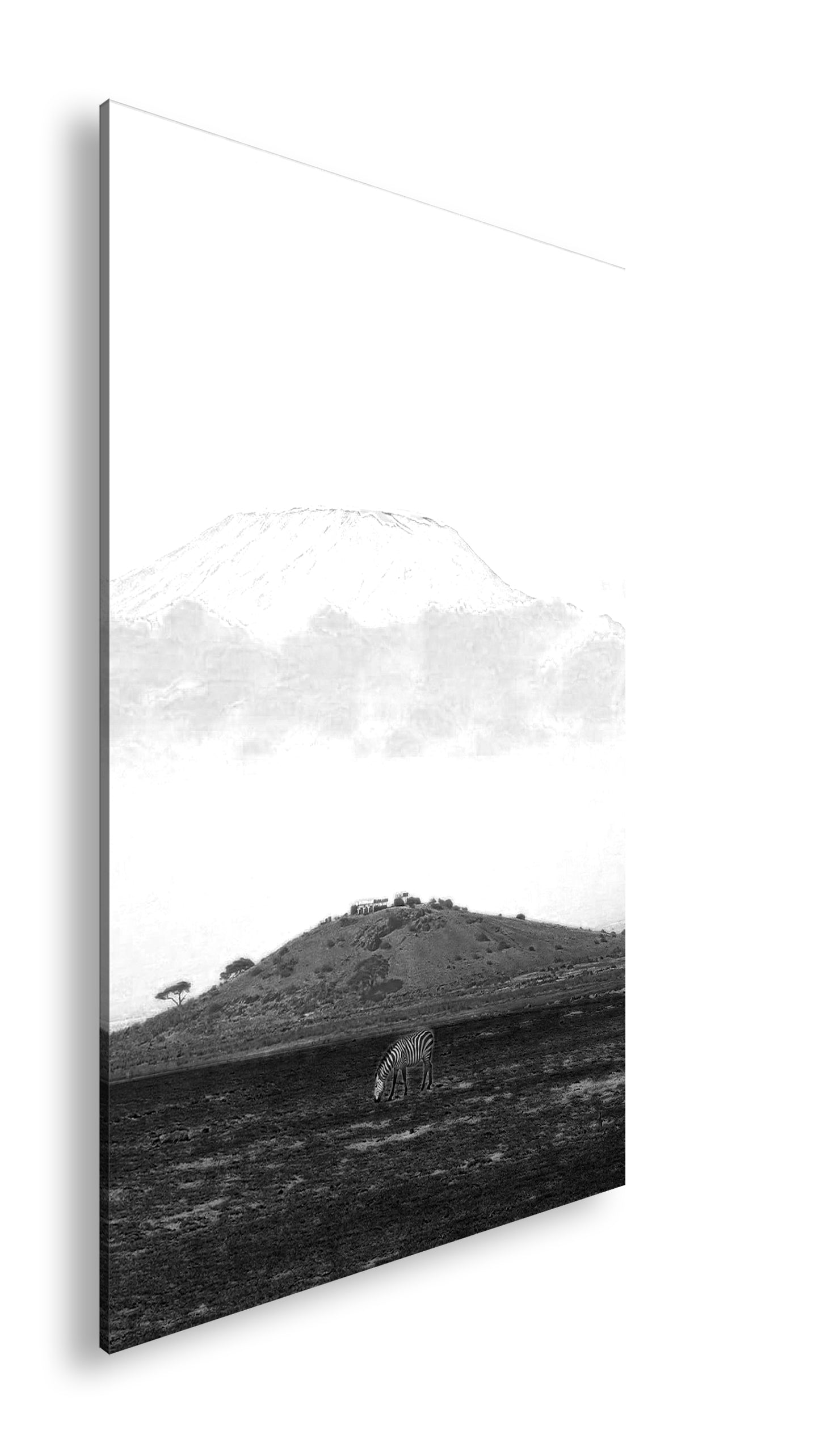 Hauptbild Schwarz & Weiß Standart