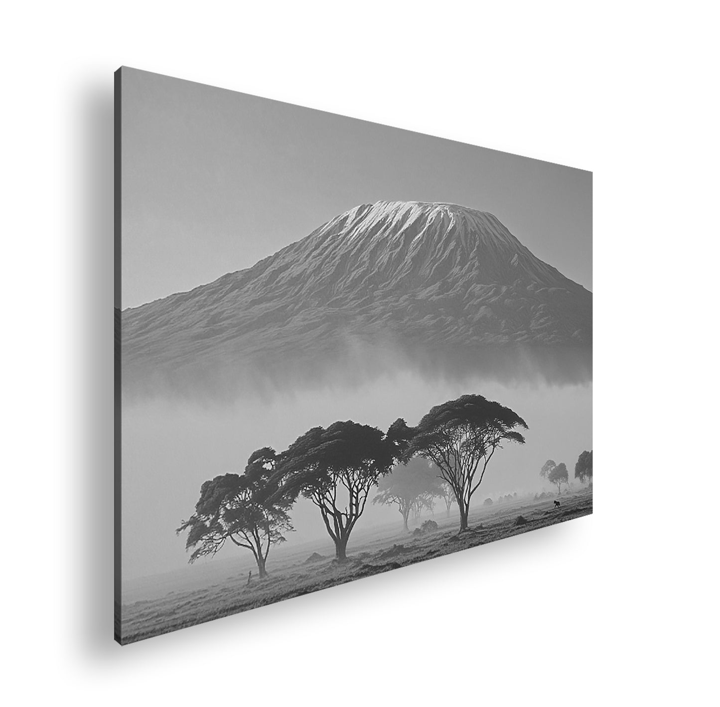 Hauptbild Schwarz & Weiß Standart