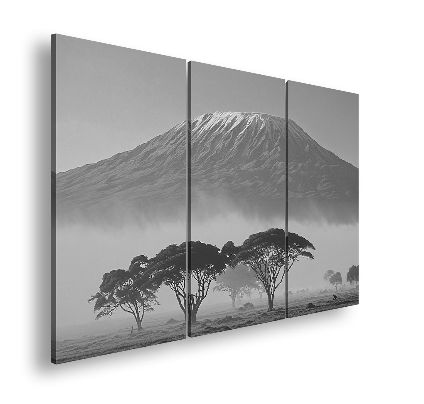 Hauptbild Schwarz & Weiß 3 Teilig