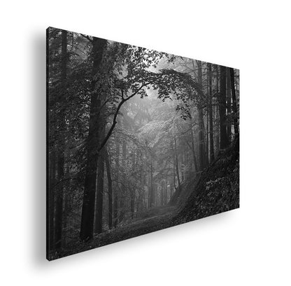 Hauptbild Schwarz & Weiß Standart