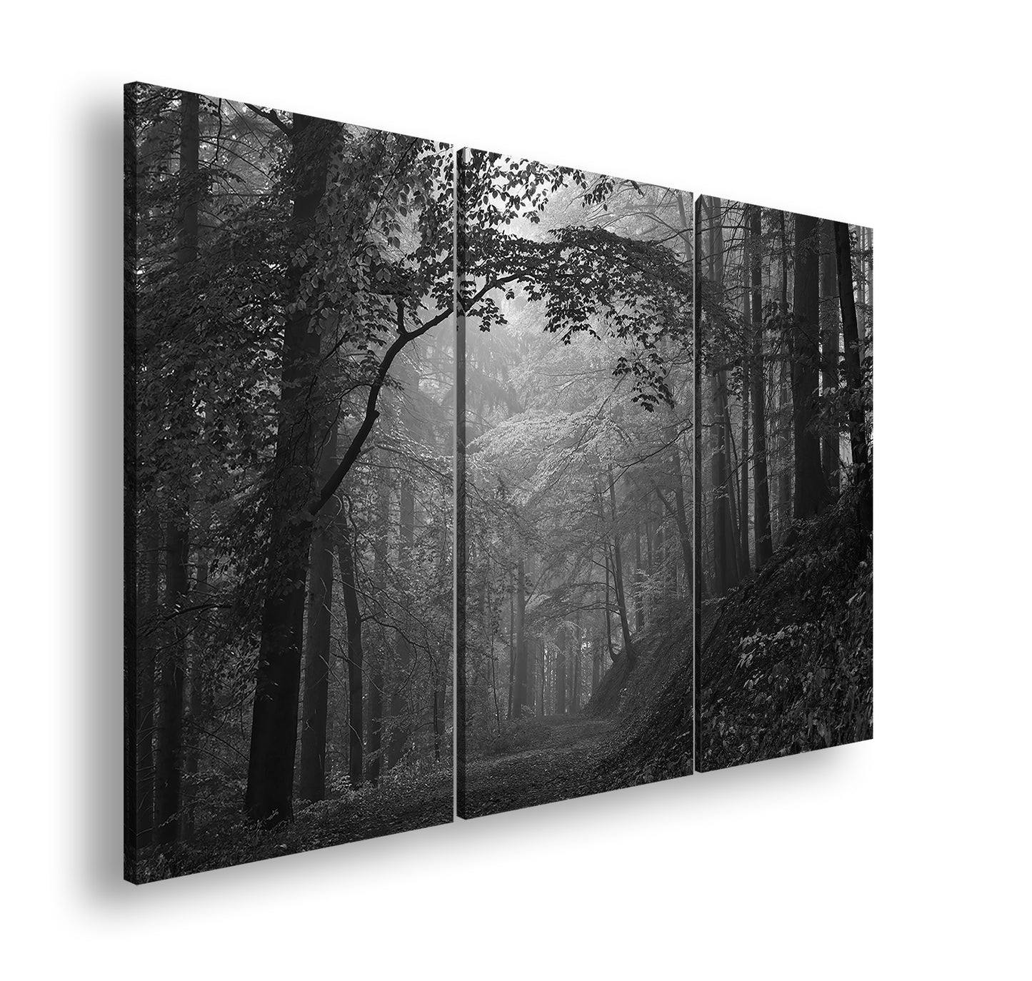 Hauptbild Schwarz & Weiß 3 Teilig