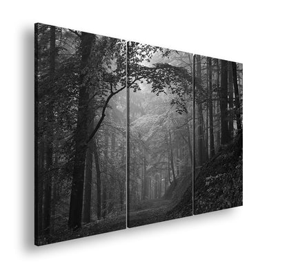 Hauptbild Schwarz & Weiß 3 Teilig