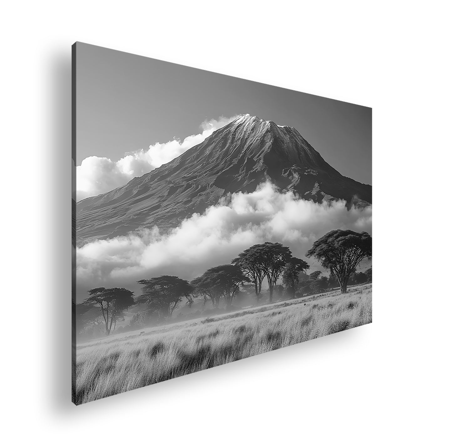 Hauptbild Schwarz & Weiß Standart