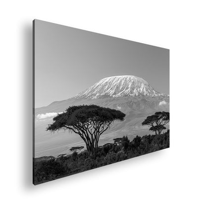 Hauptbild Schwarz & Weiß Standart