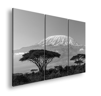 Hauptbild Schwarz & Weiß 3 Teilig