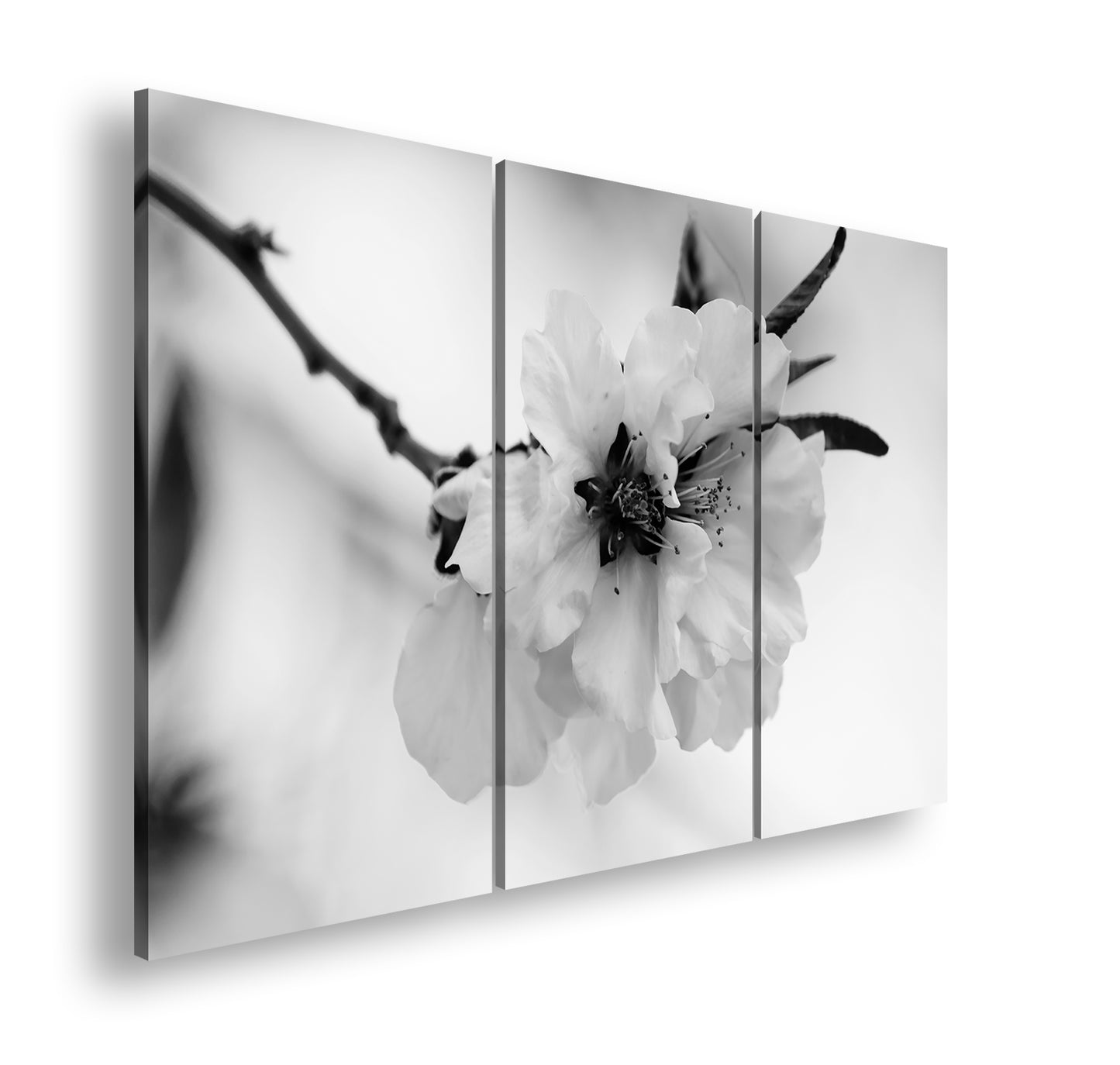 Hauptbild Schwarz & Weiß 3 Teilig