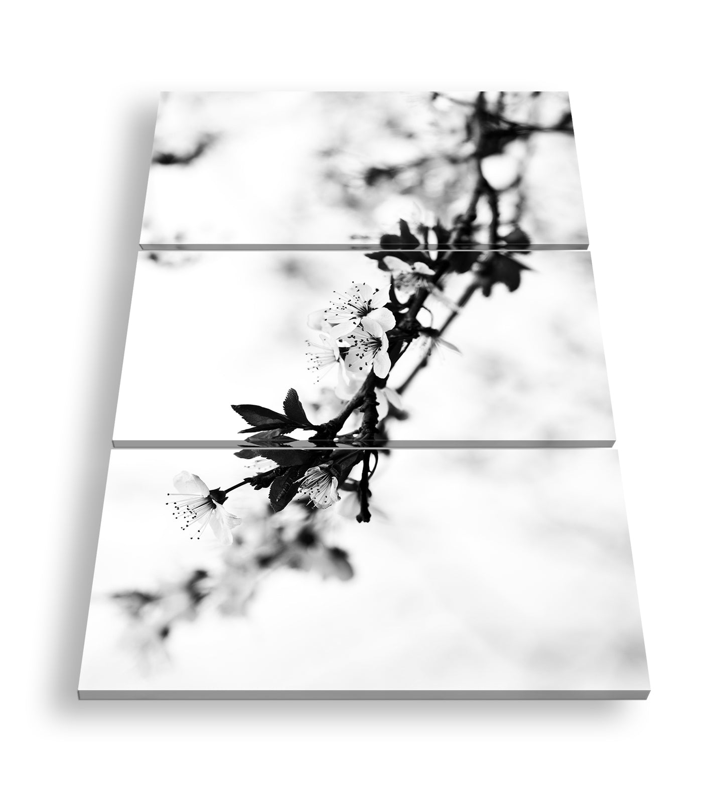 Hauptbild Schwarz & Weiß 3 Teilig