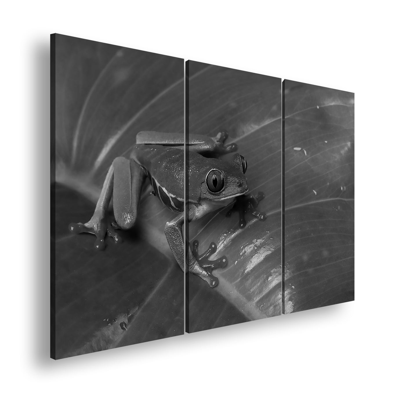 Hauptbild Schwarz & Weiß 3 Teilig