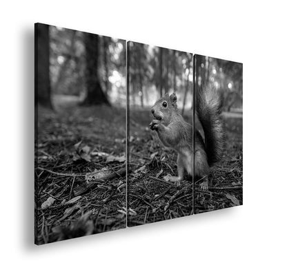 Hauptbild Schwarz & Weiß 3 Teilig