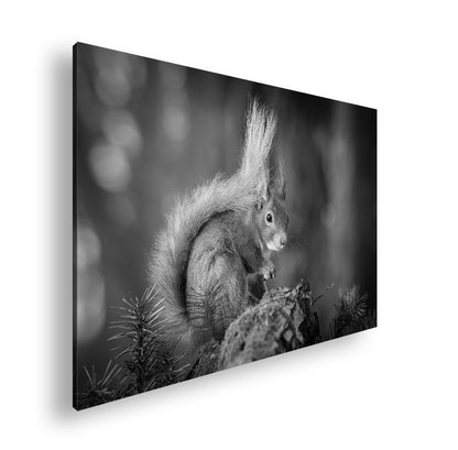 Hauptbild Schwarz & Weiß Standart