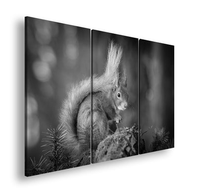 Hauptbild Schwarz & Weiß 3 Teilig