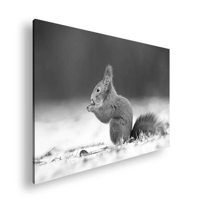 Hauptbild Schwarz & Weiß Standart