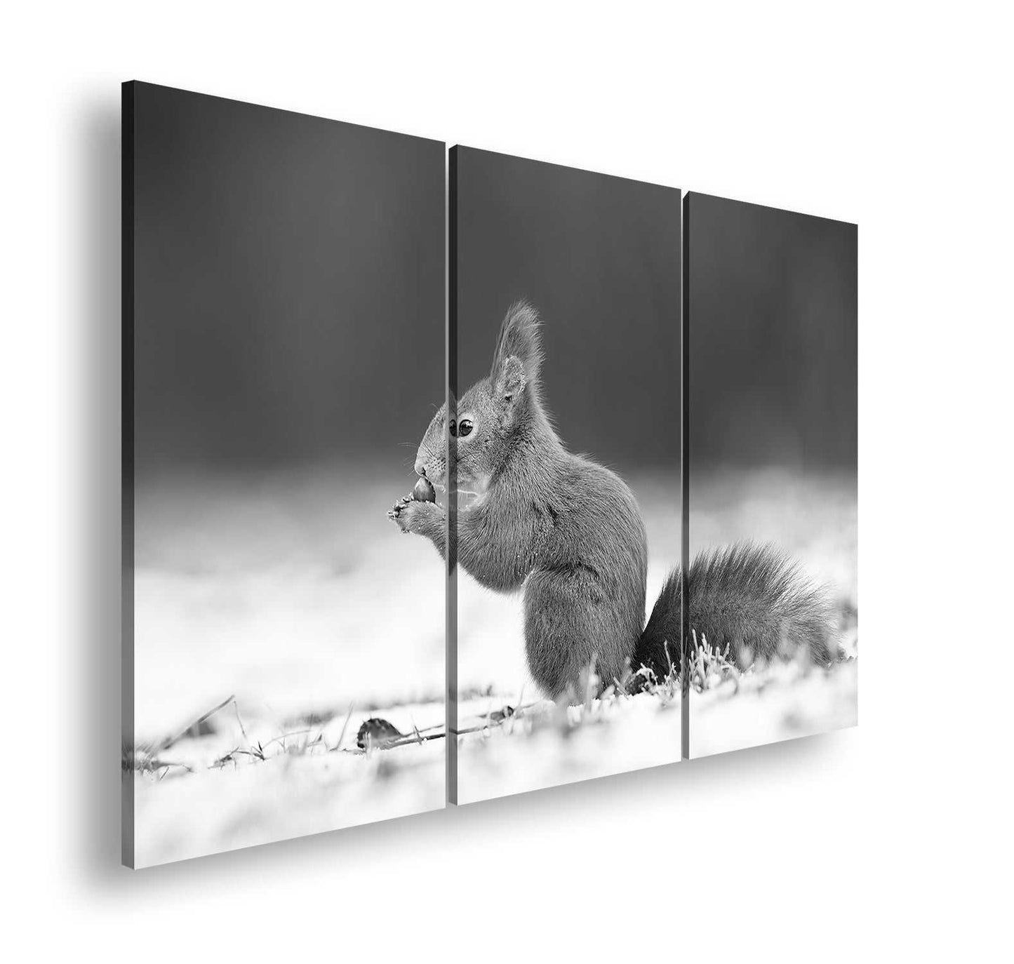 Hauptbild Schwarz & Weiß 3 Teilig