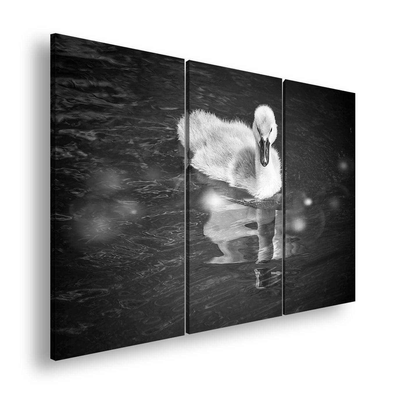 Hauptbild Schwarz & Weiß 3 Teilig