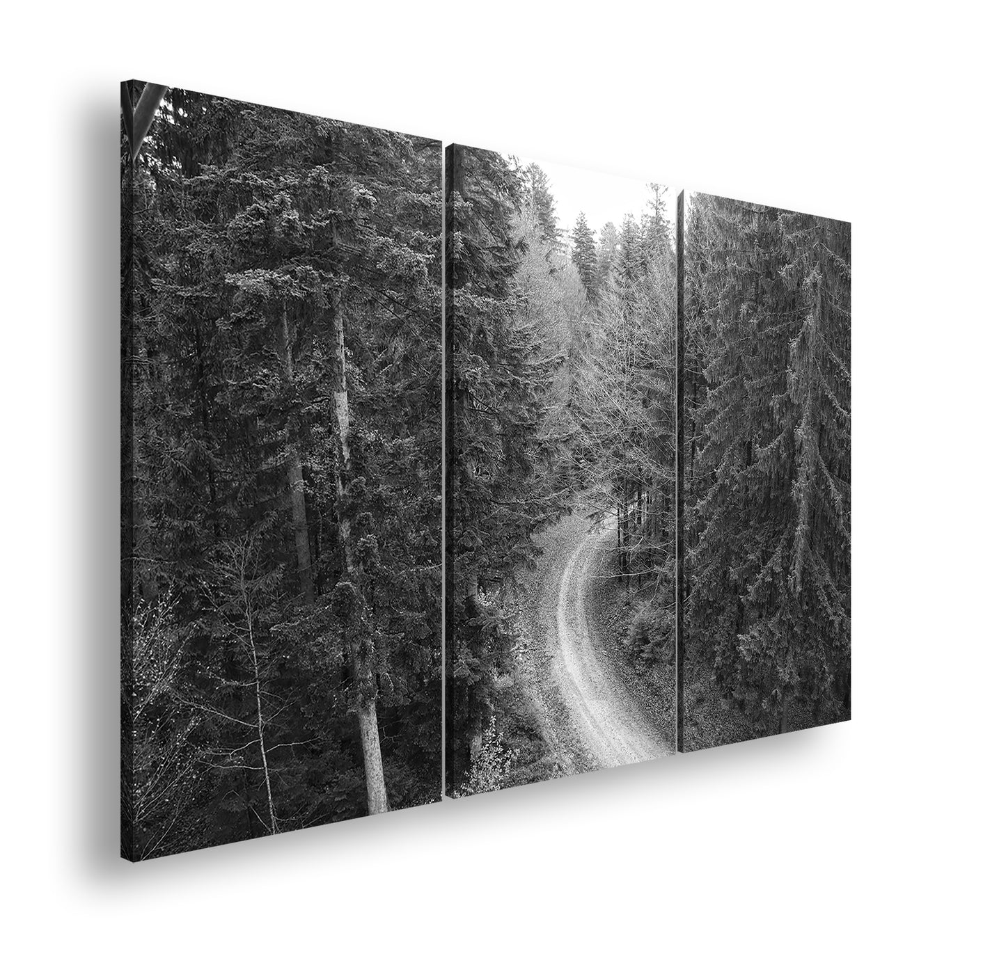 Hauptbild Schwarz & Weiß 3 Teilig