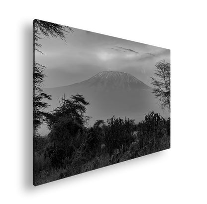 Hauptbild Schwarz & Weiß Standart