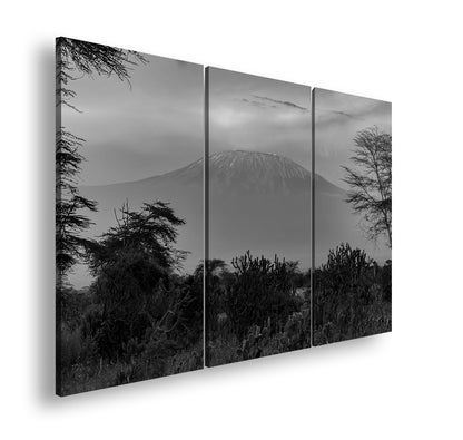 Hauptbild Schwarz & Weiß 3 Teilig