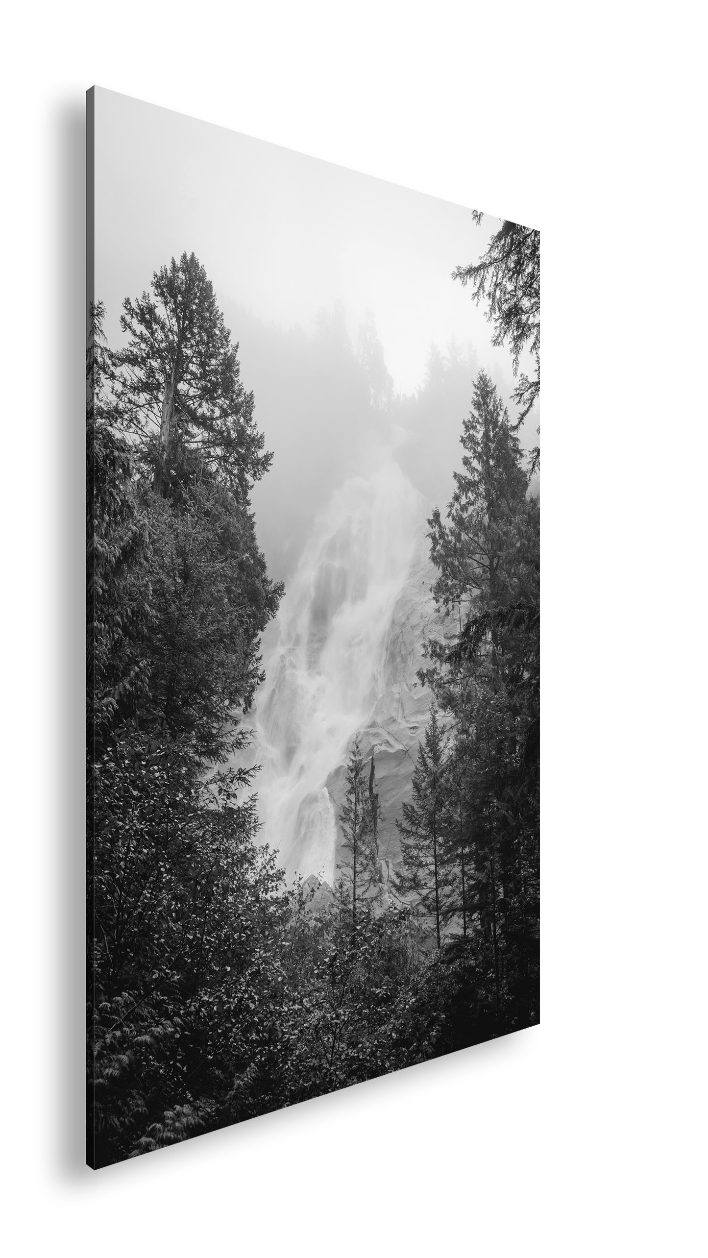 Hauptbild Schwarz & Weiß Standart