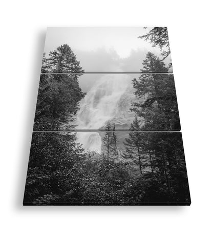 Hauptbild Schwarz & Weiß 3 Teilig