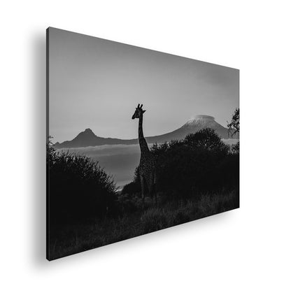 Hauptbild Schwarz & Weiß Standart