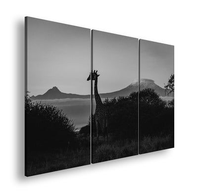 Hauptbild Schwarz & Weiß 3 Teilig