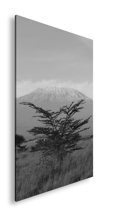 Hauptbild Schwarz & Weiß Standart