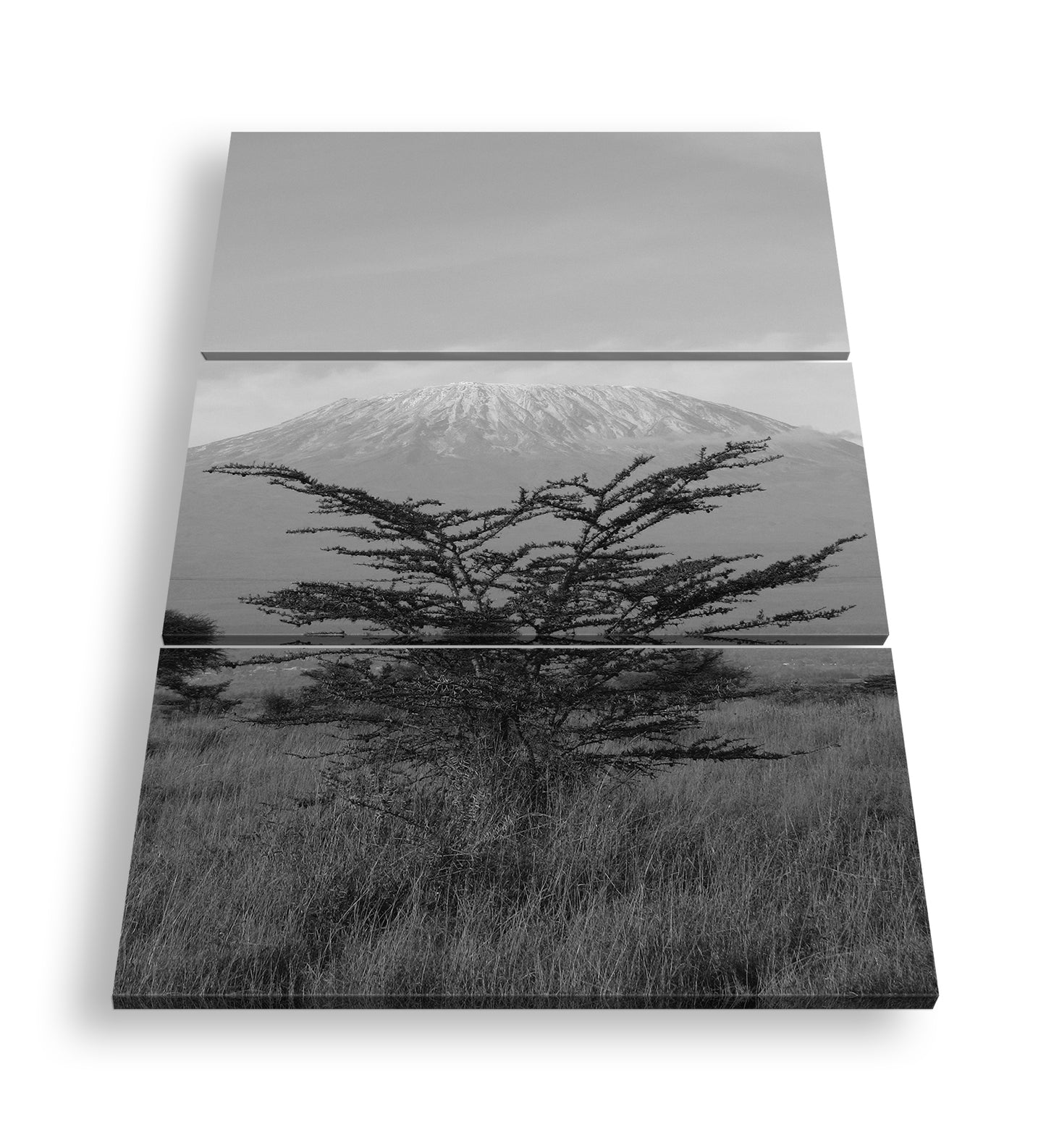 Hauptbild Schwarz & Weiß 3 Teilig