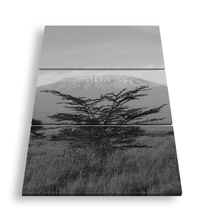 Hauptbild Schwarz & Weiß 3 Teilig