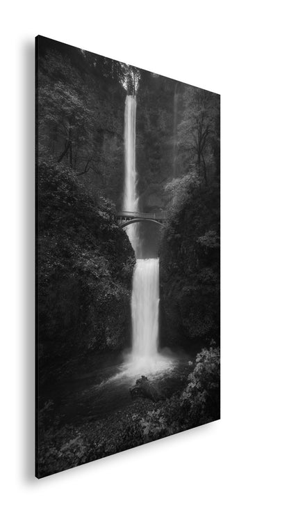 Hauptbild Schwarz & Weiß Standart