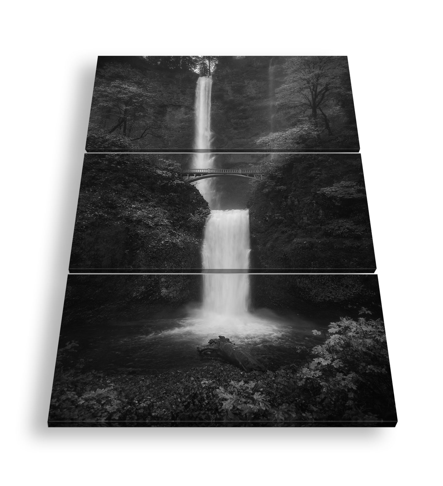 Hauptbild Schwarz & Weiß 3 Teilig